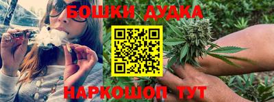 прущие крисы Дубна