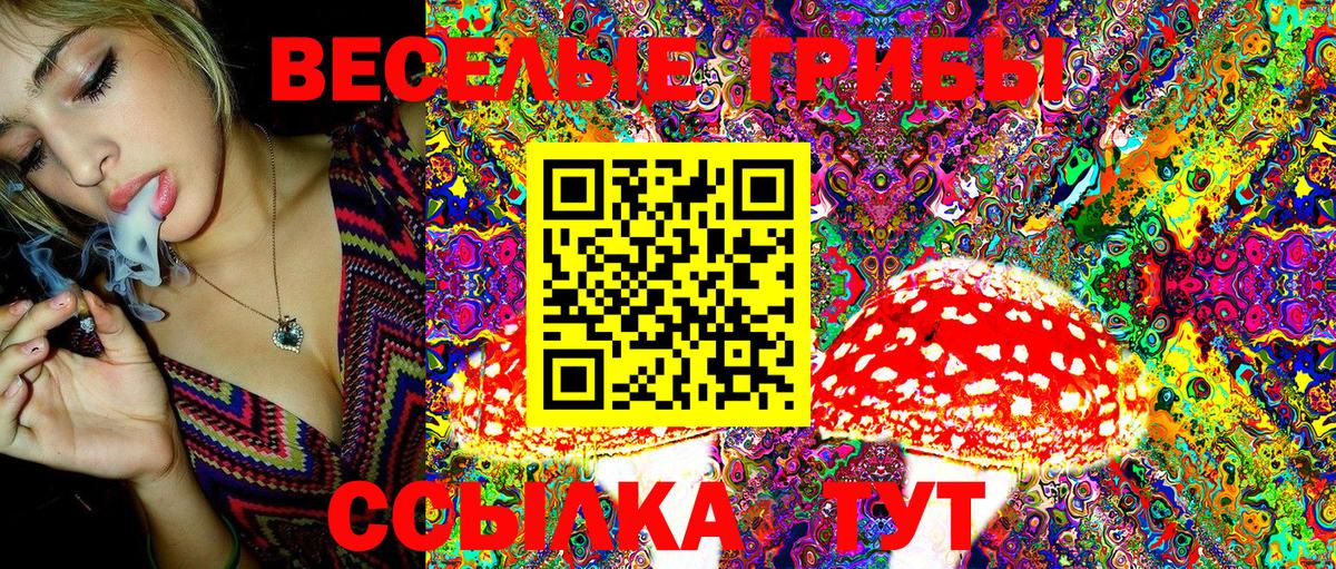 Галлюциногенные грибы Cubensis  Вход с VPN  Лабинск 